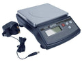Table Top Precision Scale R3763