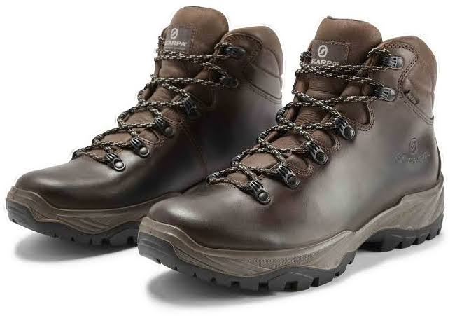 Scarpa Terra GTX Brown 45 W936