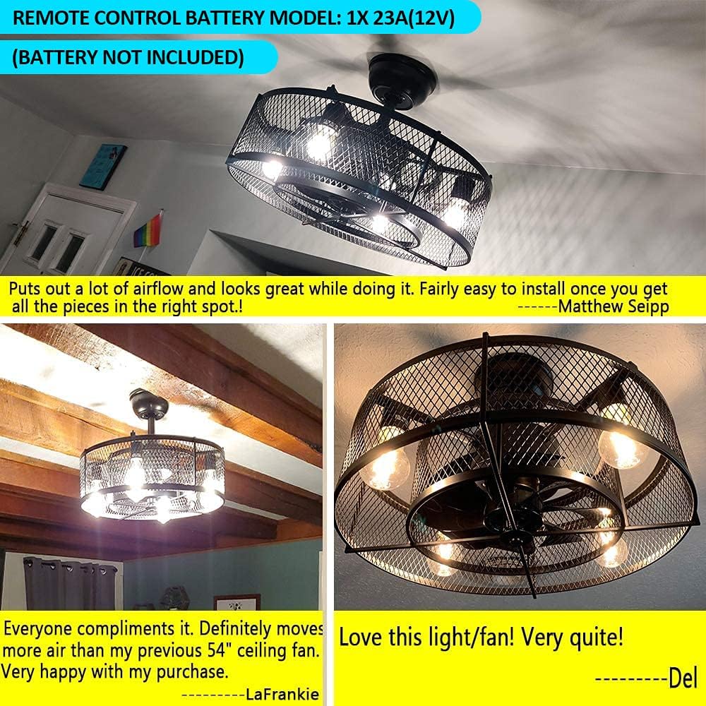 20In Caged Ceiling Fan with Light, 3 Speeds Adjustable, Remote, Black C13034