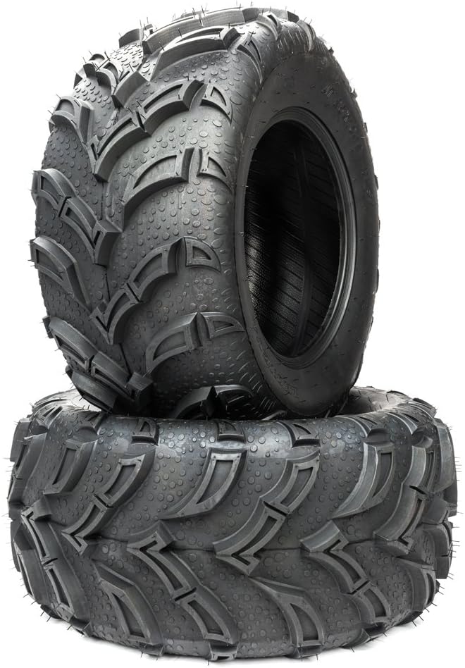 Set of 2 Tubeless All-Terrain Tires 25x10-12 6PR X975970