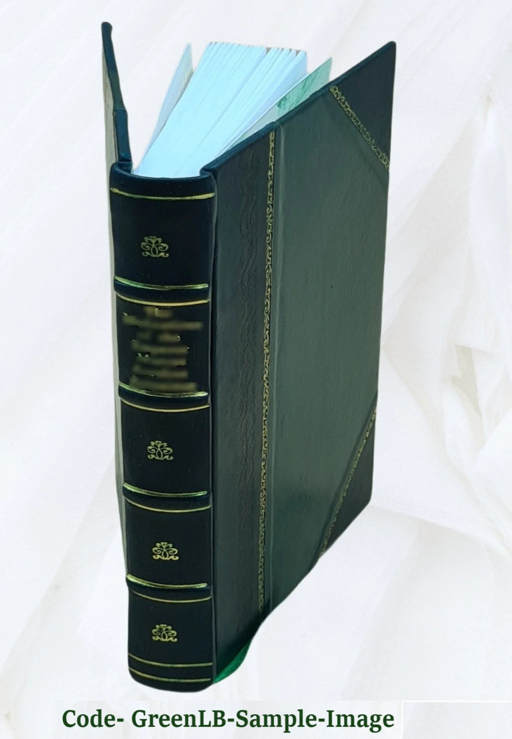 Leather Bound Book N4043