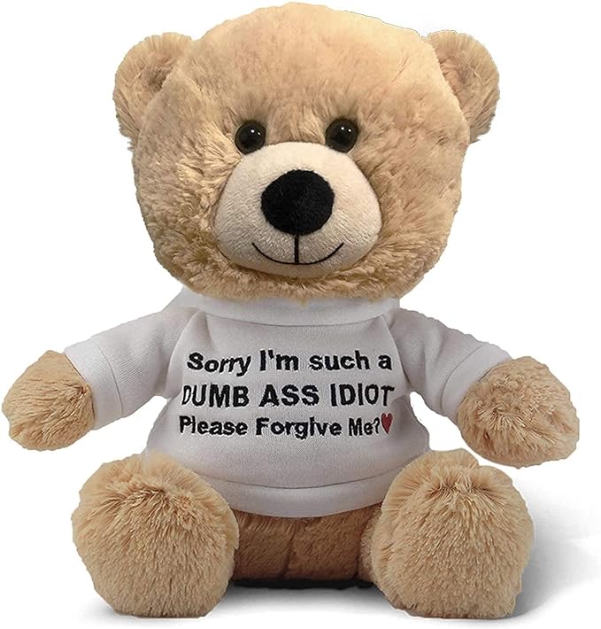 Teddy Bear with Gift Bag T308