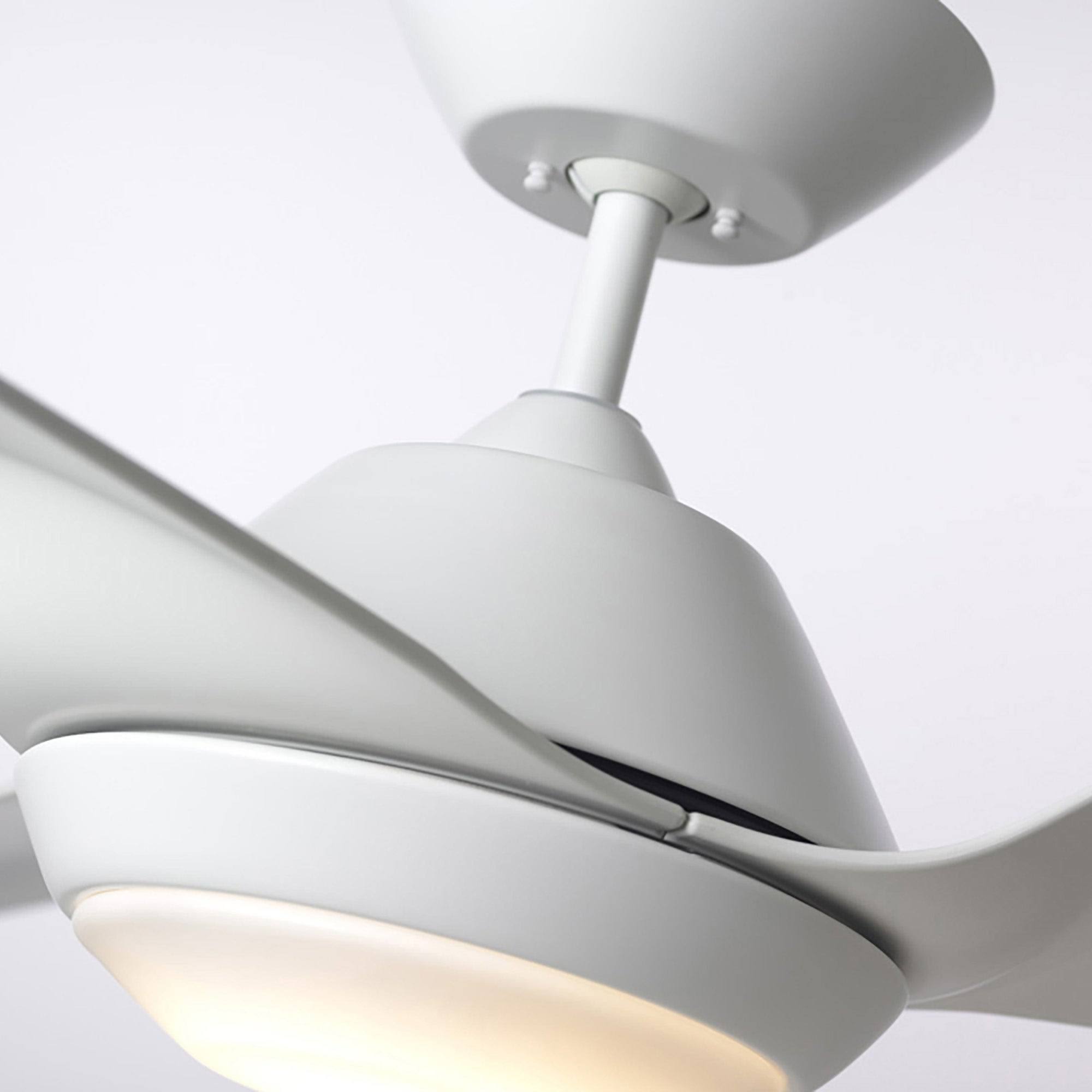 Black LED Ceiling Fan C778717