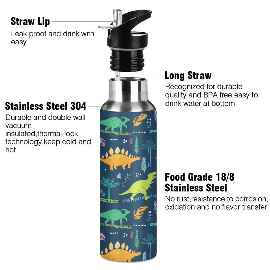 Stainless Steel Water Bottle with Straw Lid Vacuum Insulated 20 OZ Z9600
