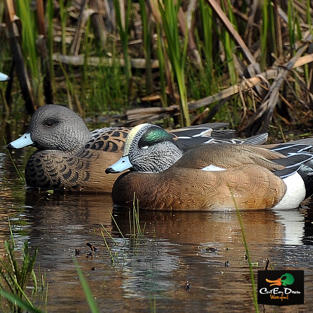 1/2 Dozen Duck Decoy Q8660