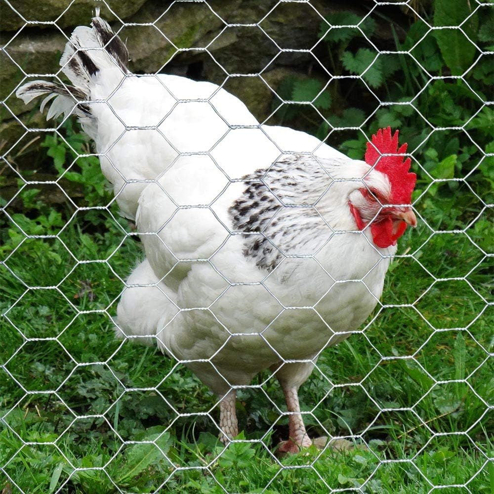 Galvanized Hexagonal Poultry Netting Chicken Wire 48 inches x 50 feet x 1 inch Mesh Pack of 2 G31560