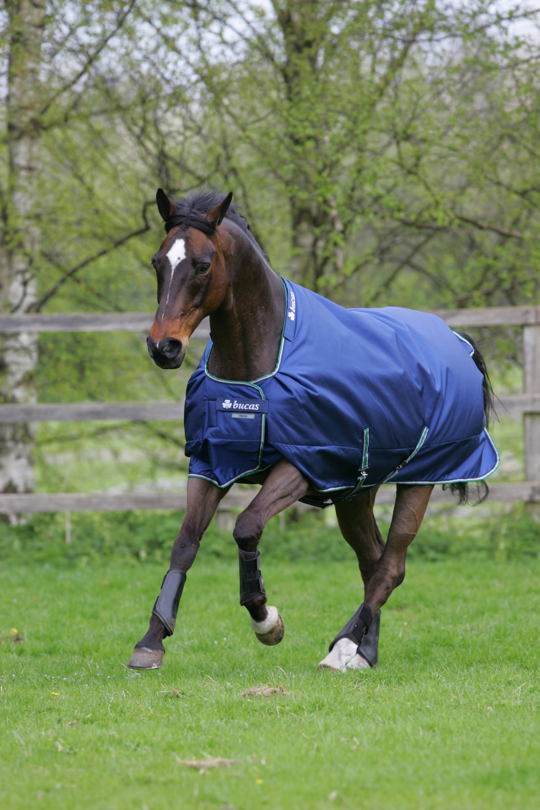 Blue Rain Sheet F472320