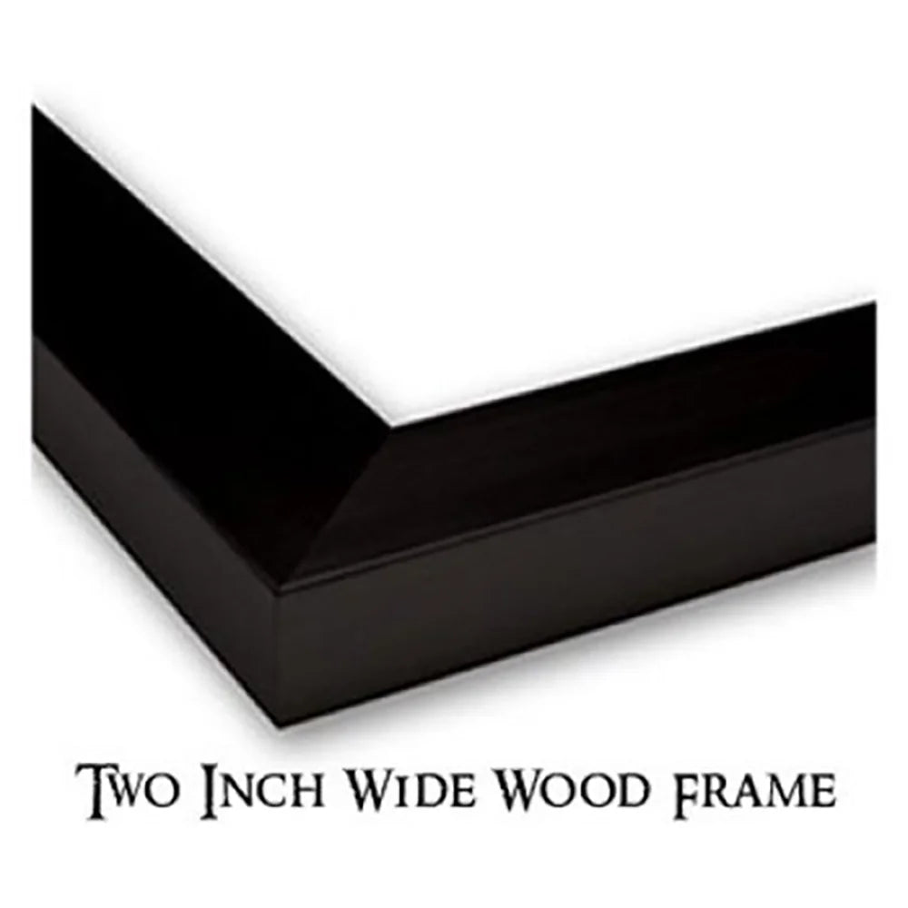 Black Framed Museum Art Print M660816