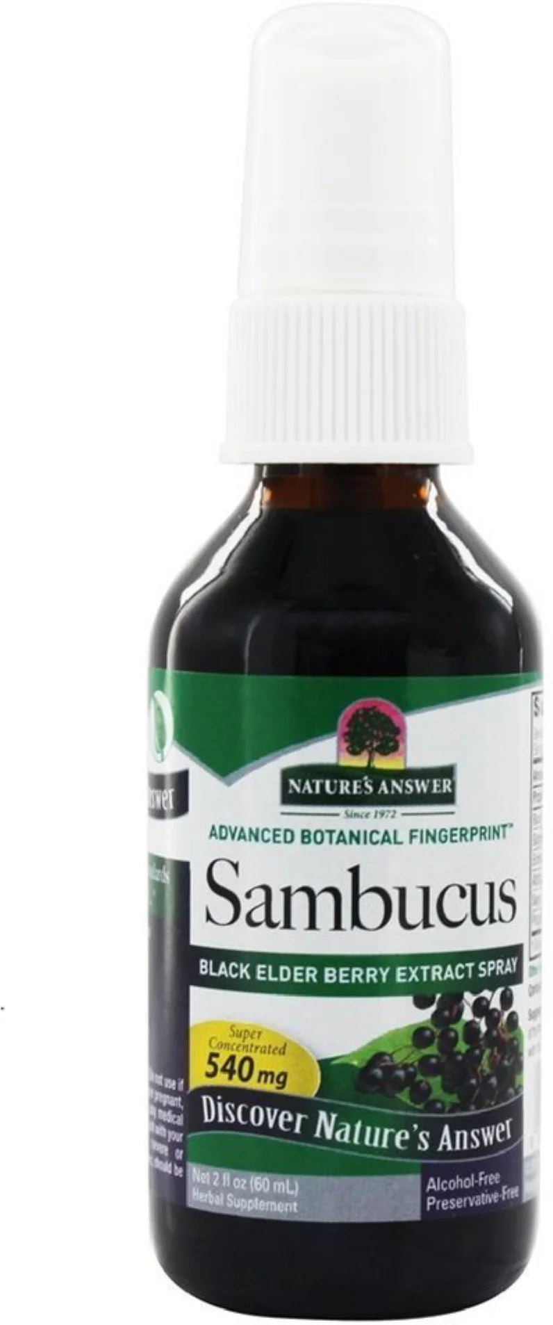 2 oz Black Elder Berry Extract Spray B327