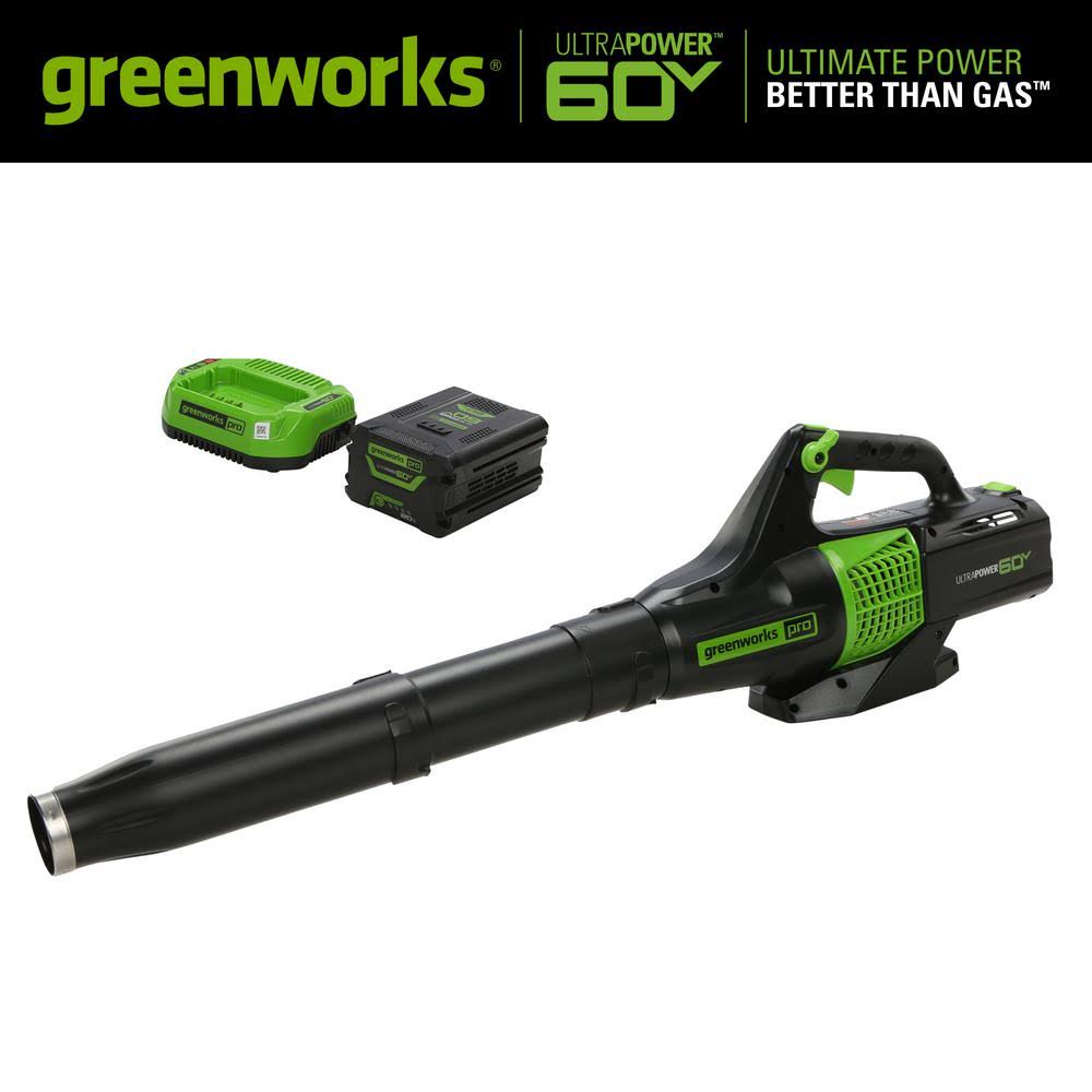 60-Volt Cordless Handheld Leaf Blower with 2.0 Ah Battery and Charger E37078