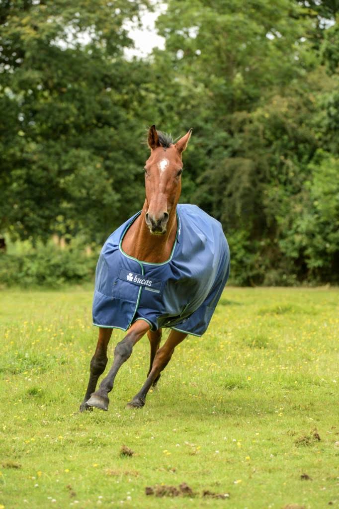 Blue Rain Sheet F472320