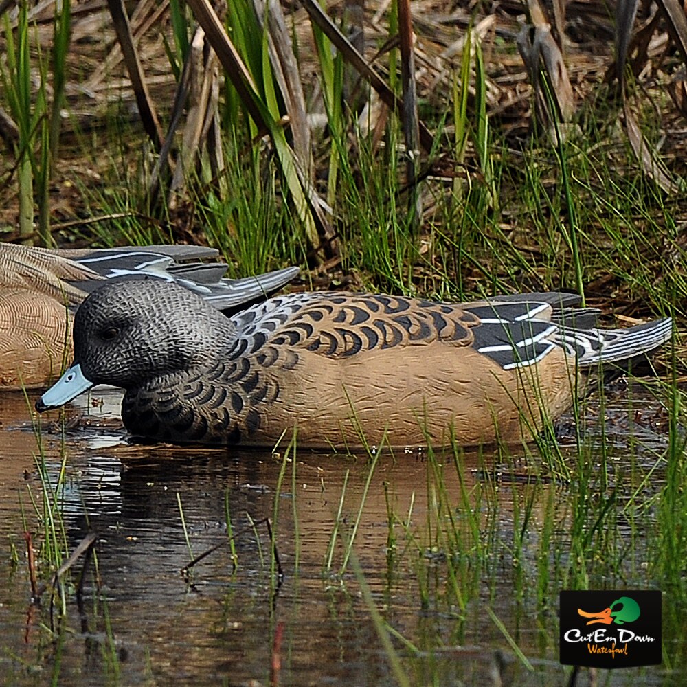 1/2 Dozen Duck Decoy Q8660