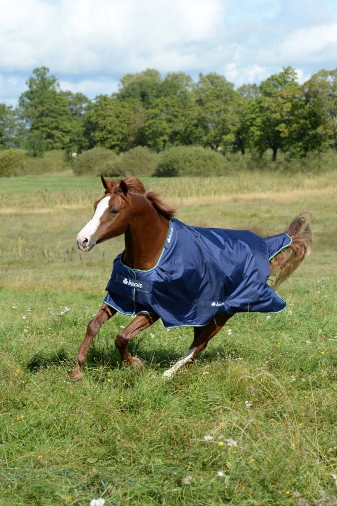 Blue Rain Sheet F472320