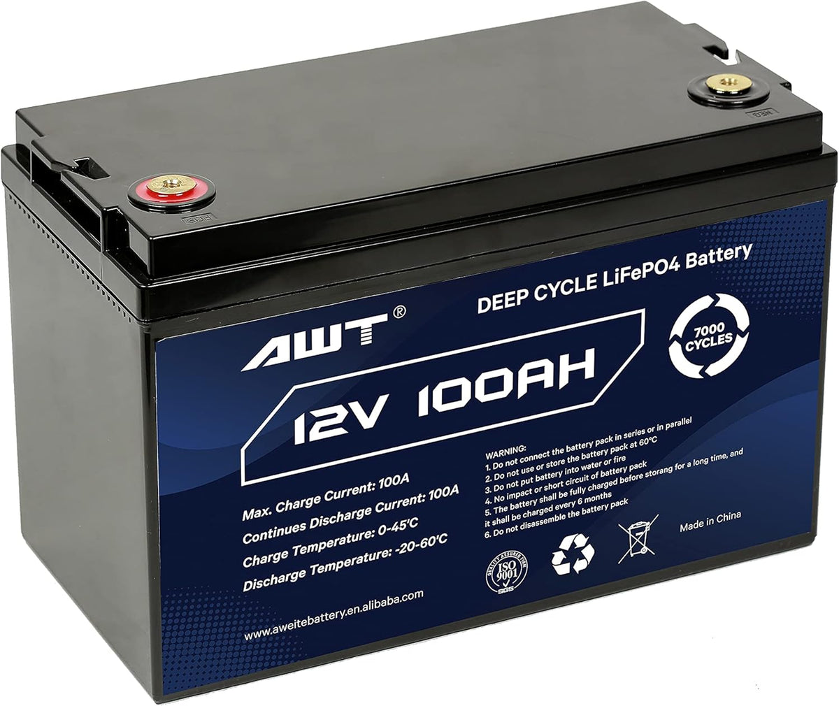 12V 100Ah Deep Cycle Lithium Battery with 100A BMS W7849