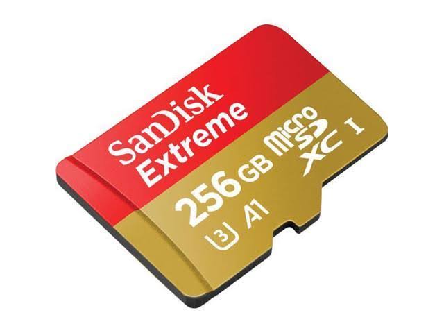 256 GB MicroSDXC Memory Card with SD Adapter U31595