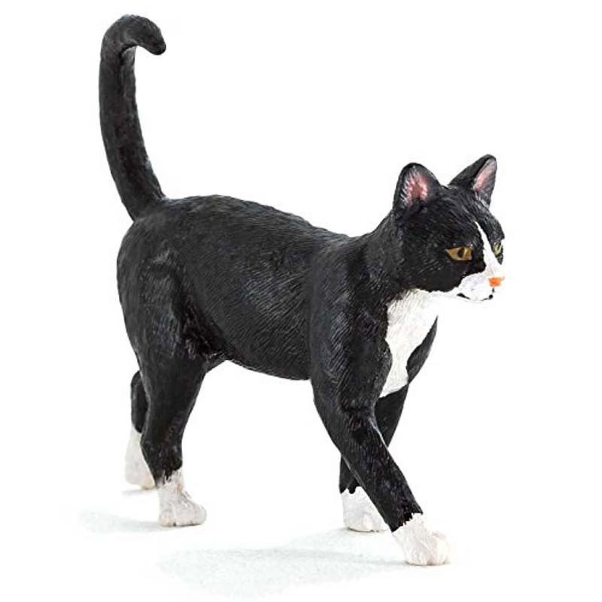 Farm Yard Cat W158