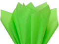 480 Pc Solid Green Tissue Paper 20 x 26 Sheet Half Ream D365