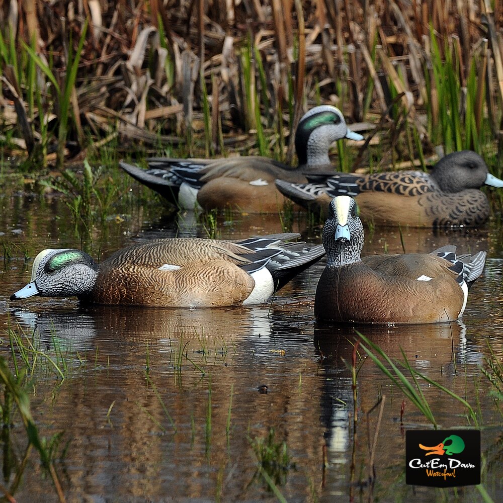 1/2 Dozen Duck Decoy Q8660