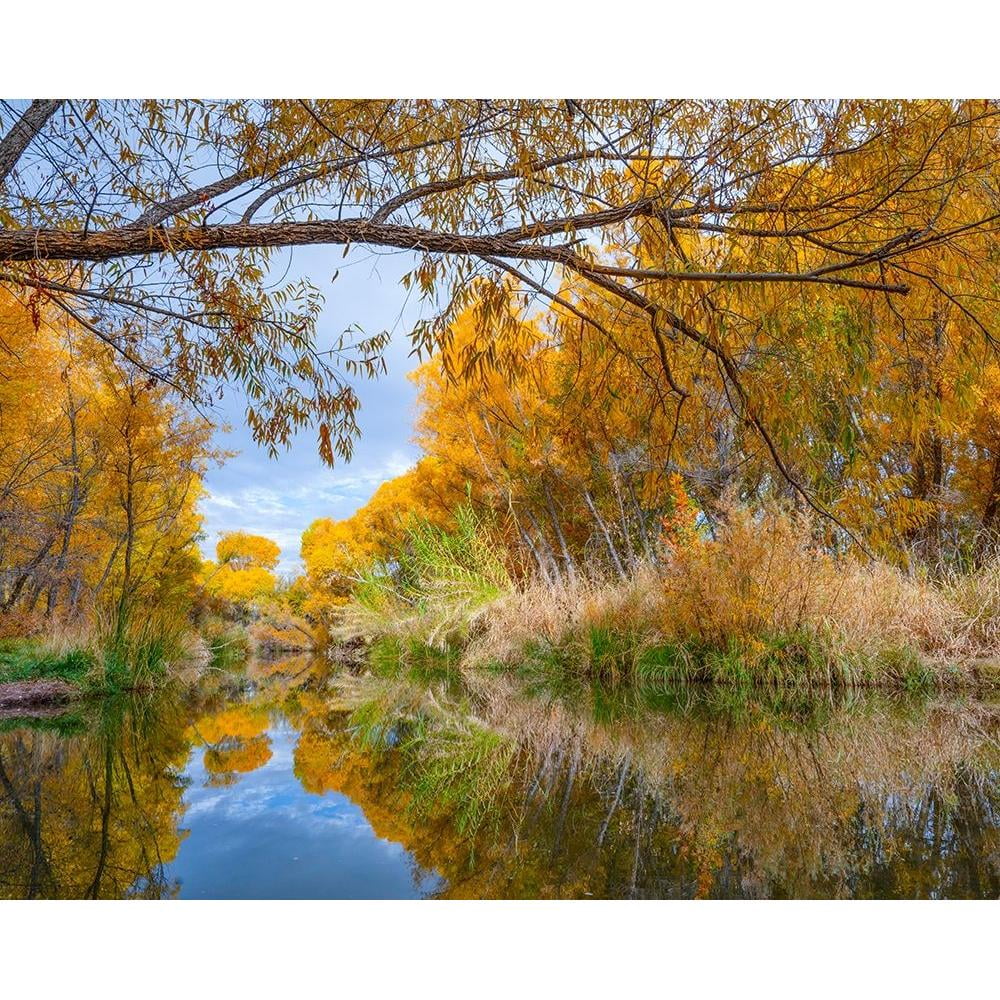 Black Framed Museum Art Print M660816