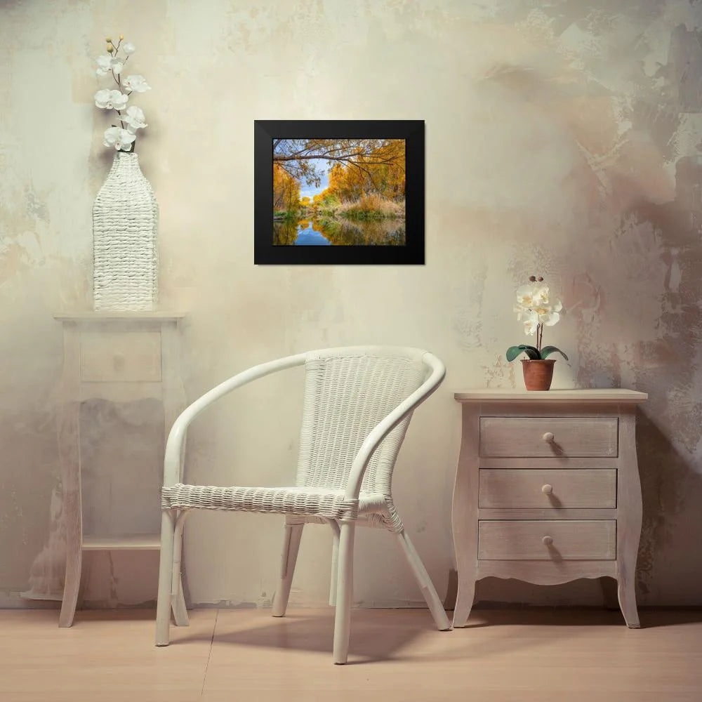 Black Framed Museum Art Print M660816