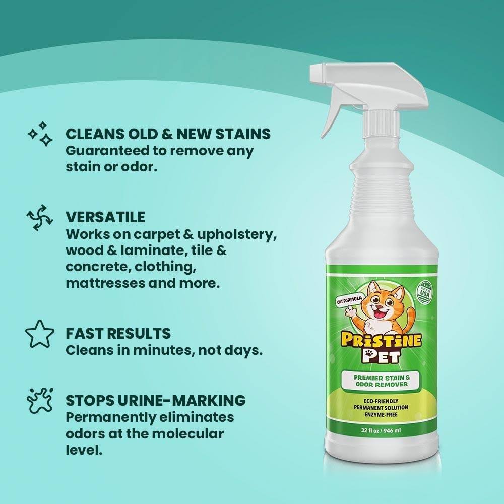 32 oz Spray Bottle 2-Pack Stain & Odor Remover U2260