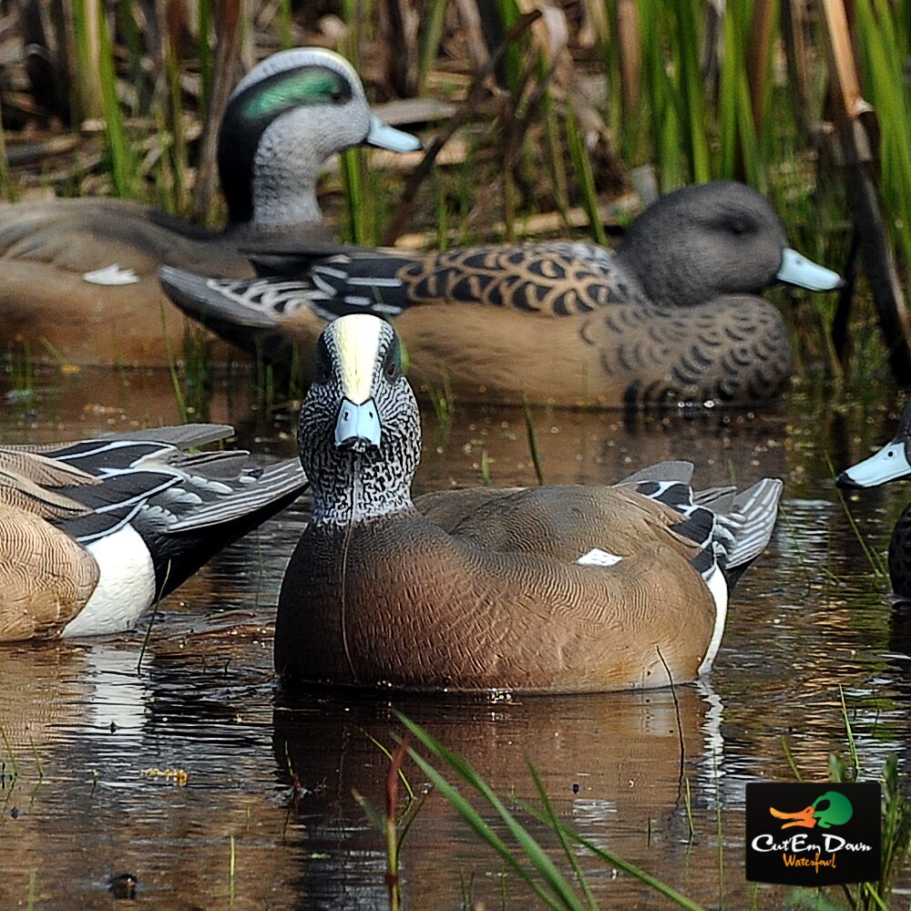 1/2 Dozen Duck Decoy Q8660
