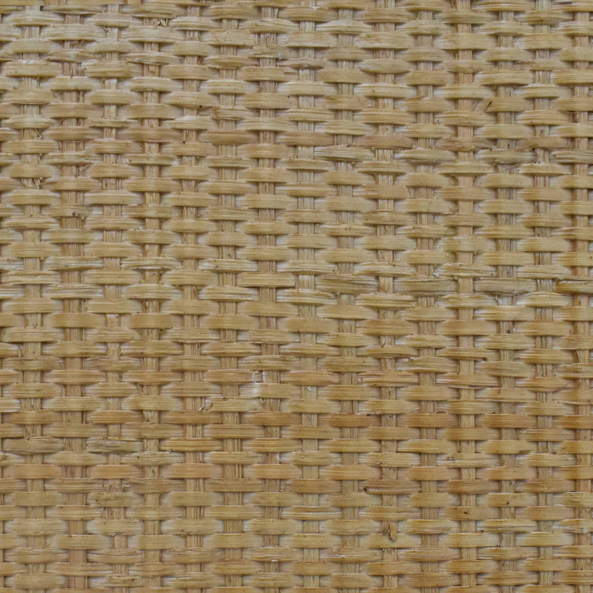 Blond 2-Door Cabinet J393