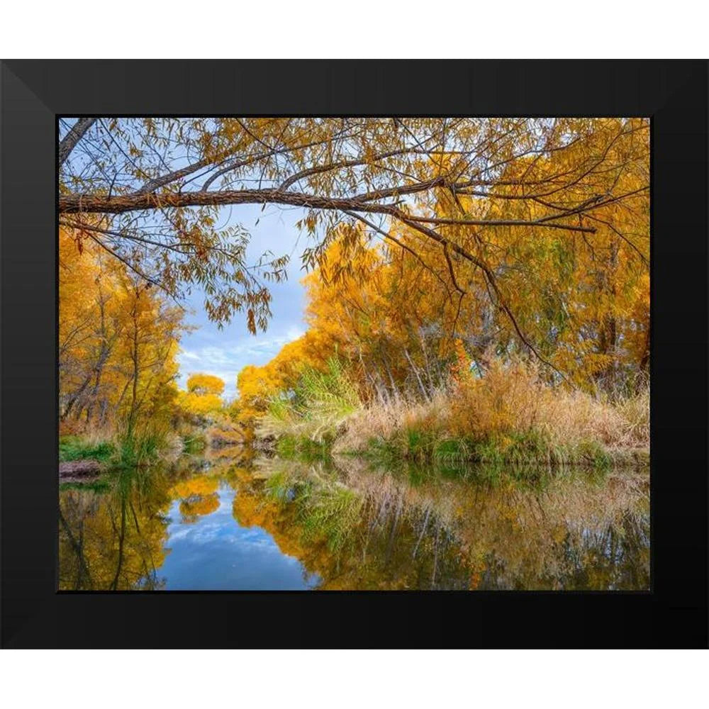 Black Framed Museum Art Print M660816