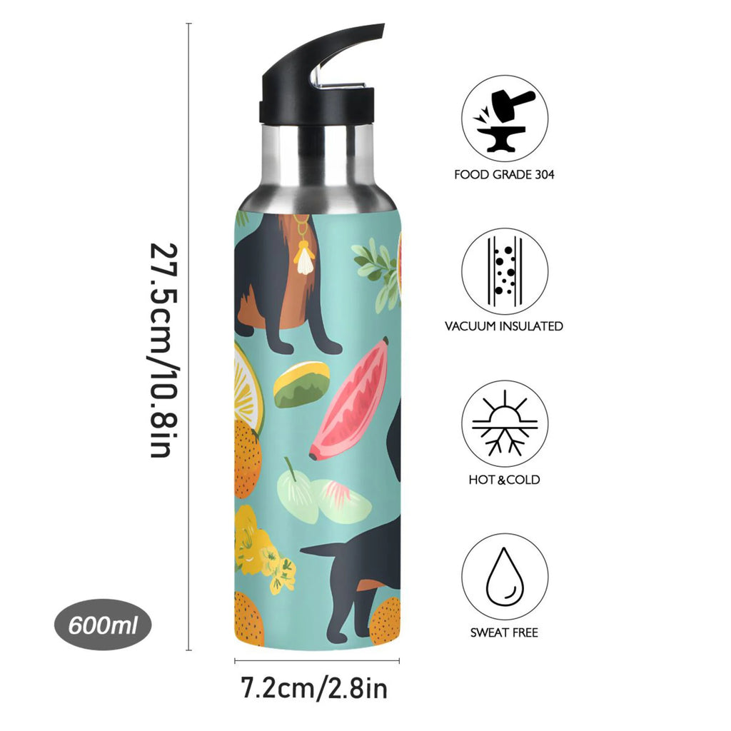 Insulated Stainless Steel Water Bottle with Straw Lid, 20 oz U557