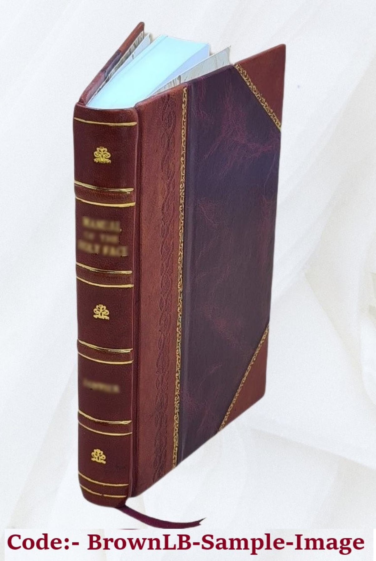Leather Bound Book N4043