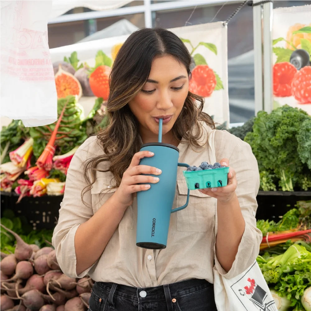 Storm Stainless Steel 30 oz Tumbler with Handle and Straw X429965