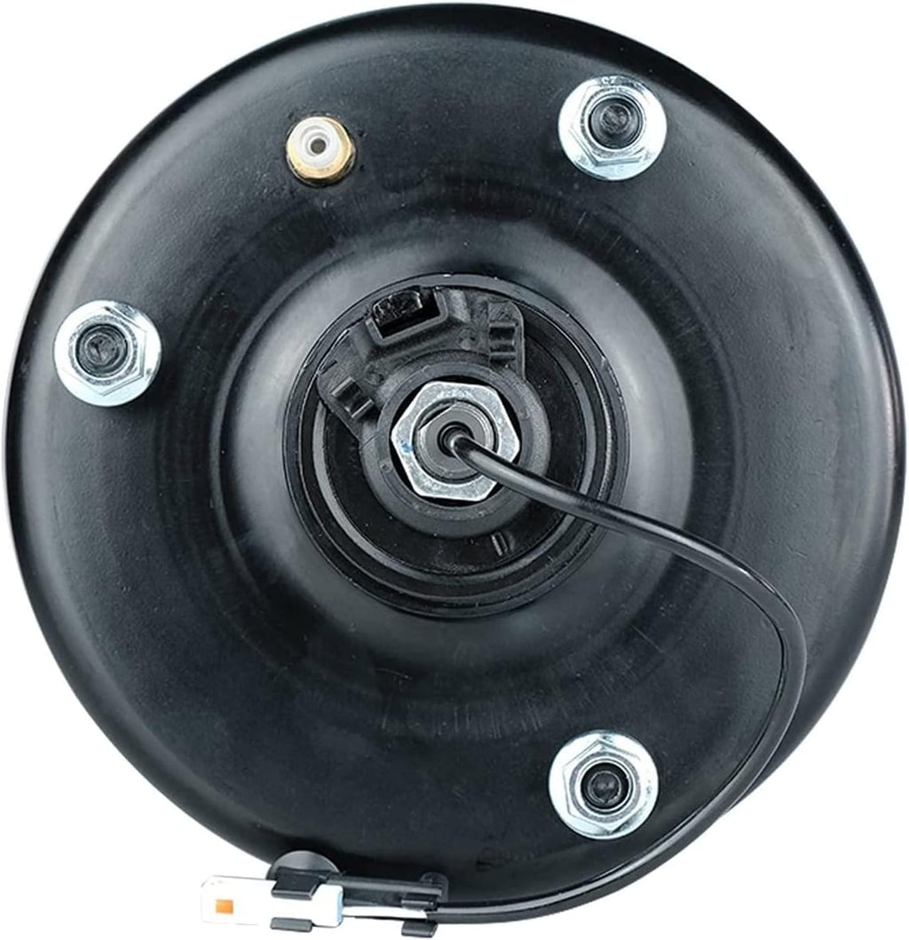 Rear Right Air Suspension Shock Absorber W5348