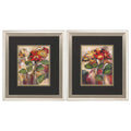 Brushed Silver Frame Daisy Divine (Set of 2) S979