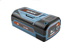 14 Inch 58V Cordless Chainsaw with Oregon Bar and Chain, Bare Tool D74342