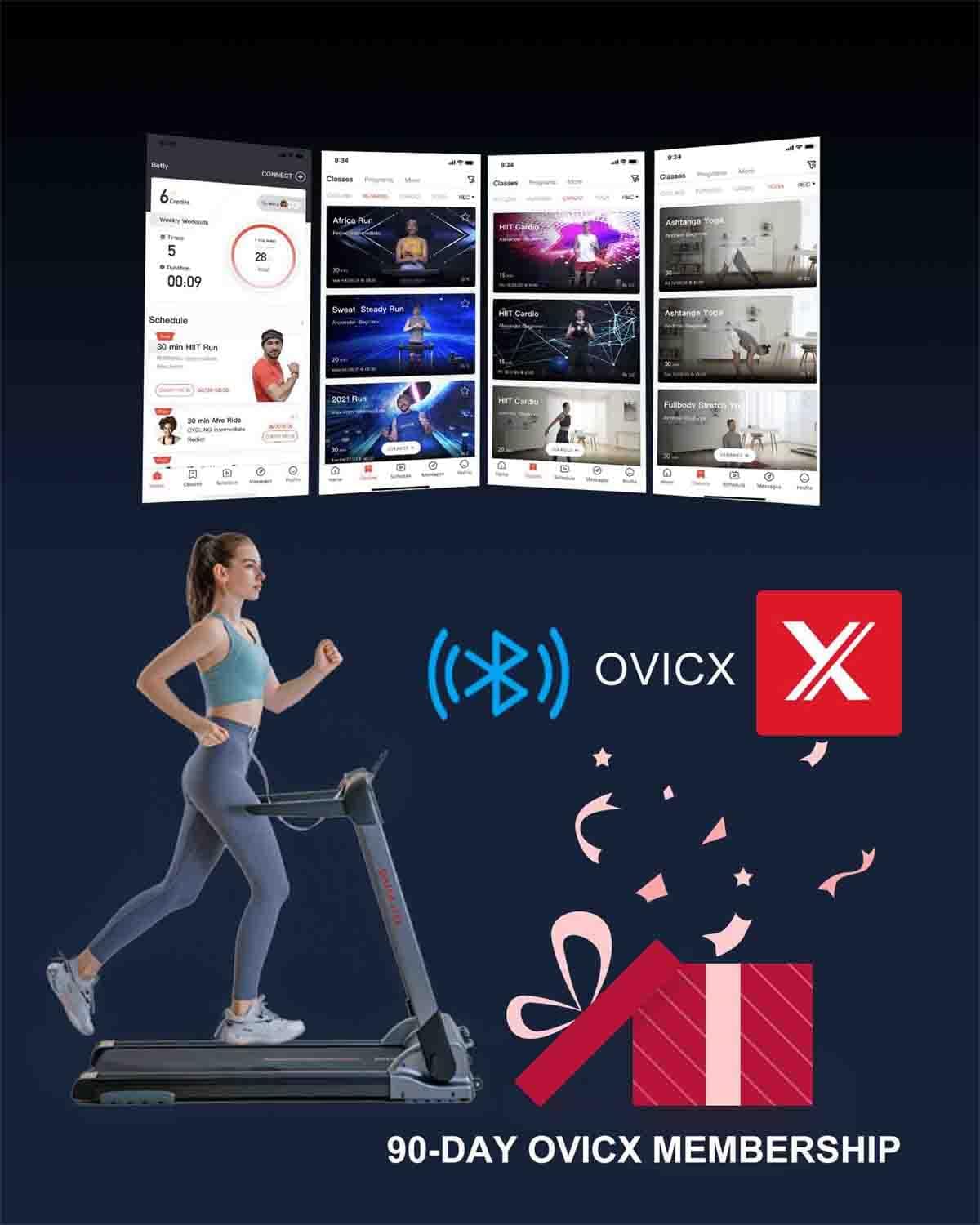 Portable Foldable Electric Treadmill T447