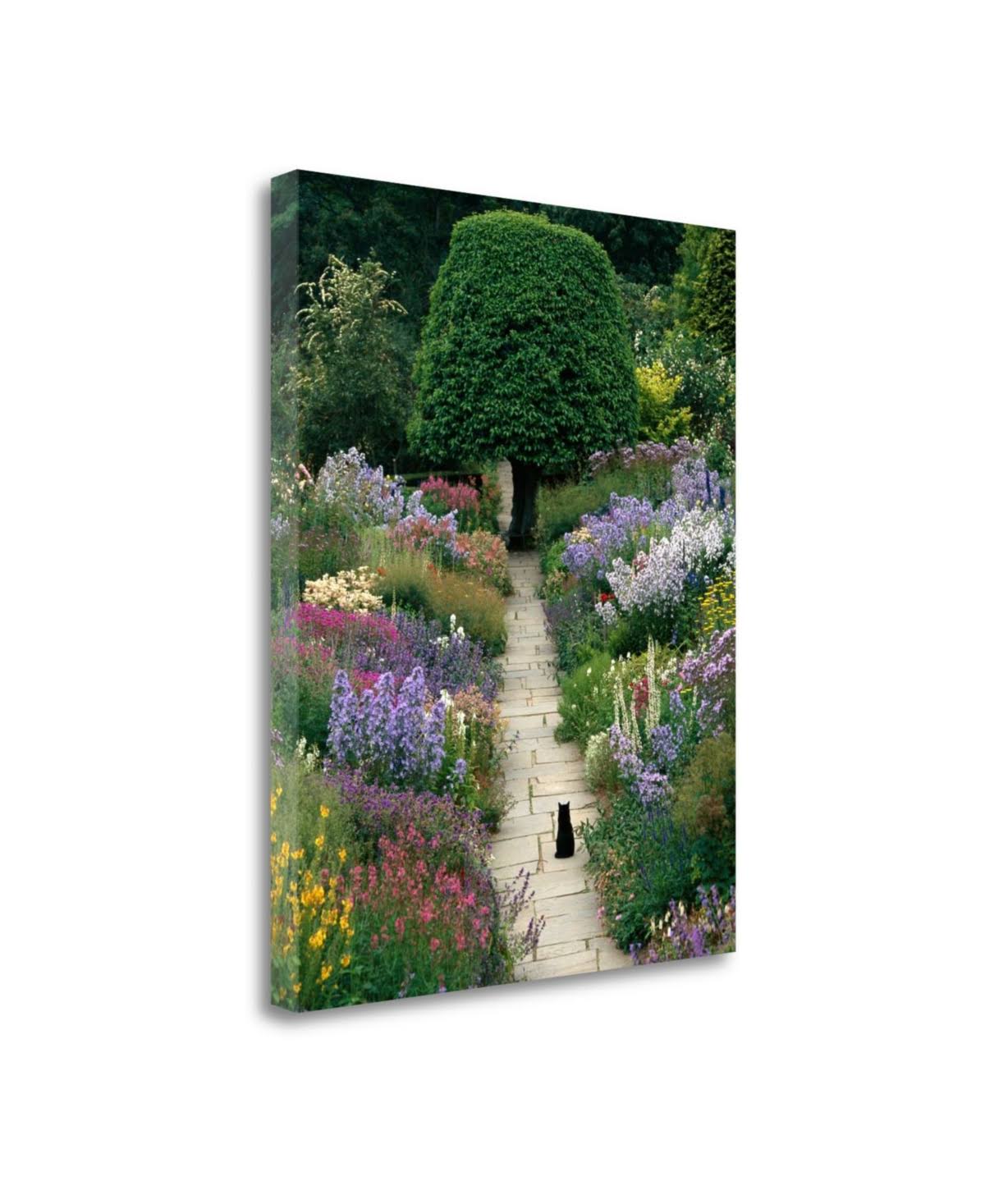 Fine Art Giclee Print I410143