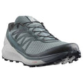 Salomon Sense Ride 4 EU 40 2/3 Z690113