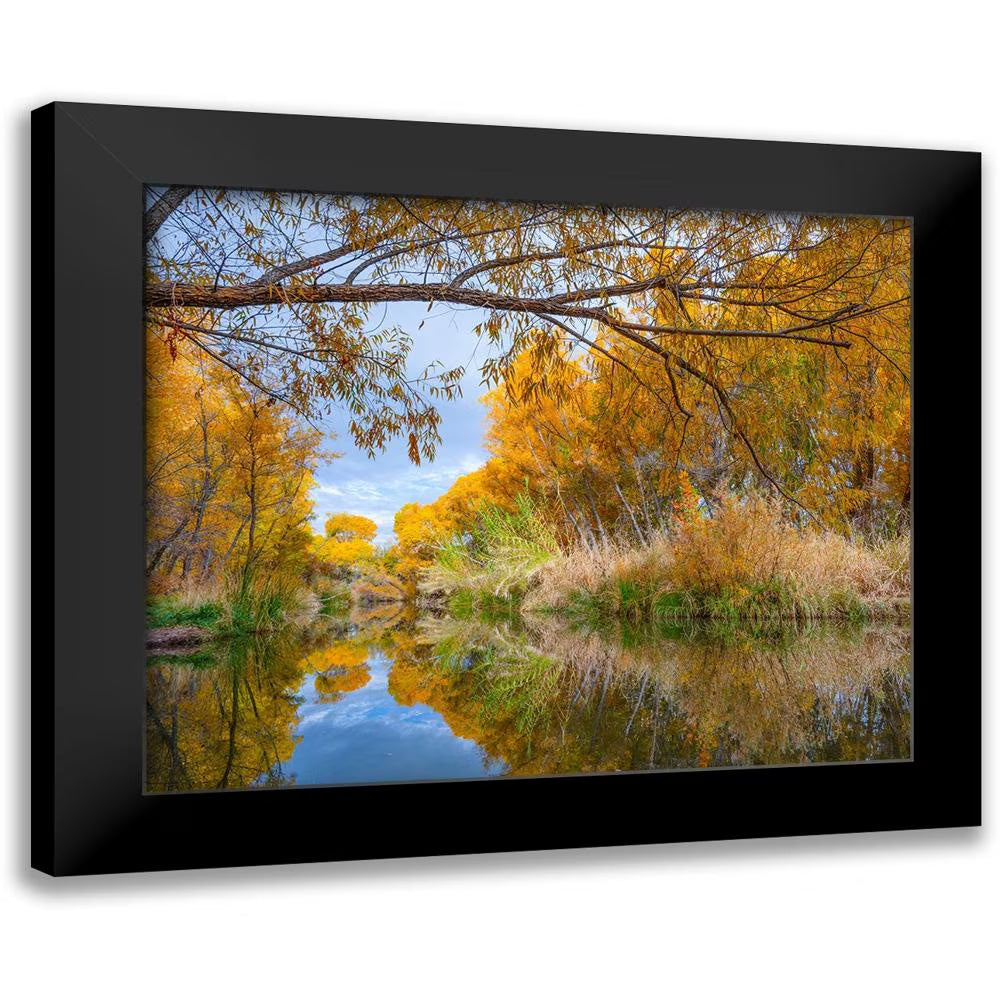 Black Framed Museum Art Print M660816