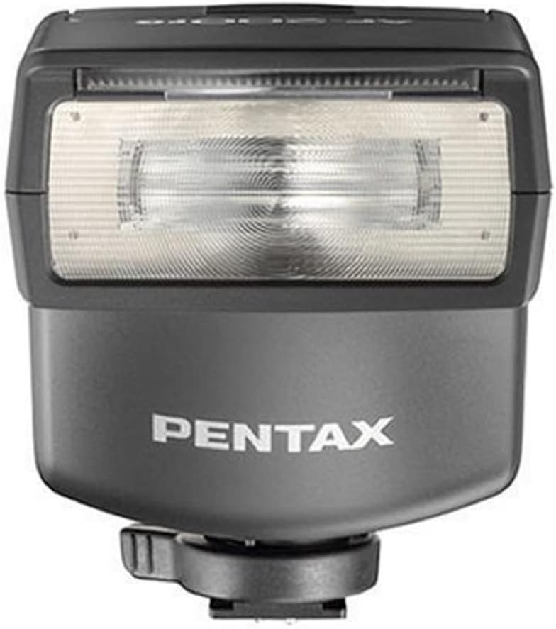 Electronic Flash with Case N12191